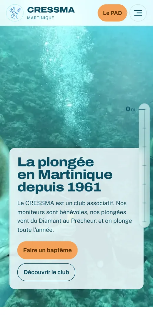 Le même site sur téléphone : la mise en page se replie sur une seule colonne.