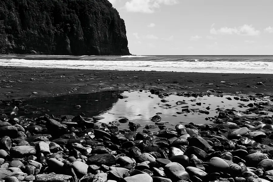Une plage de sable noir au pied d’une falaise boisée, galets luisants au premier plan.