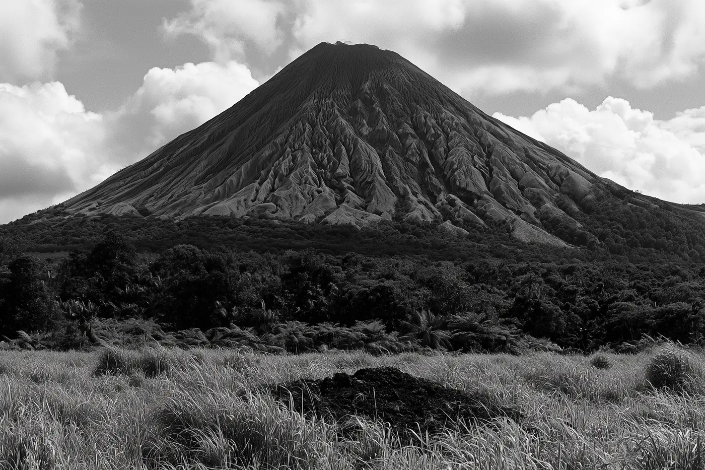 Un cône volcanique isolé domine une ceinture de forêt et de fougères arborescentes, au-dessus d'une plaine d'herbes hautes.