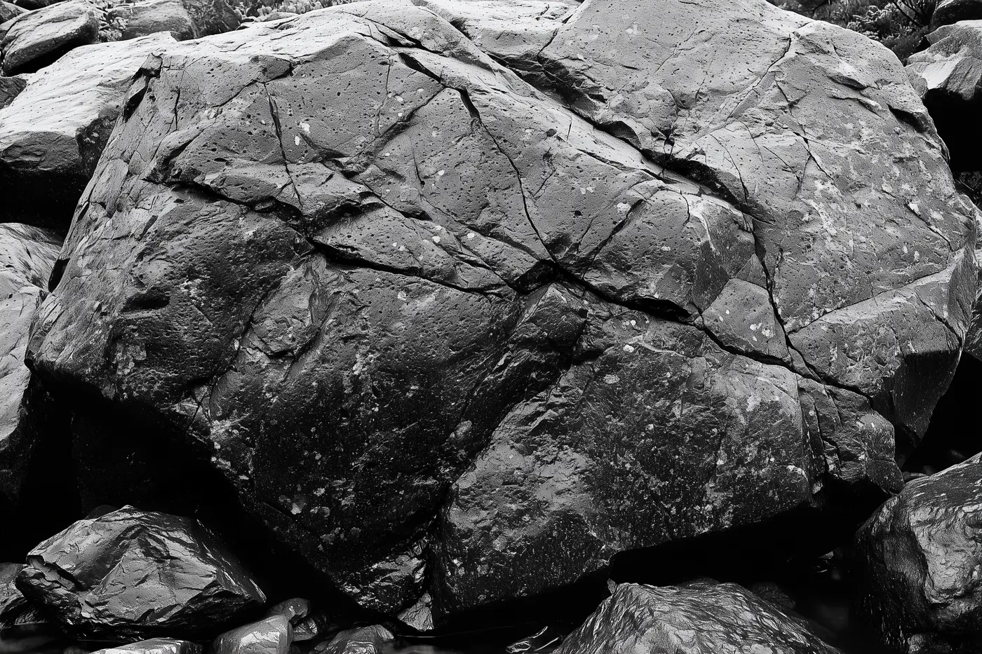 Gros plan d’un bloc d’andésite mouillé, sa surface parcourue de fractures fines et de vésicules.
